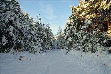 游戏厂商注册《火影忍者：究极忍者风暴》新作商标