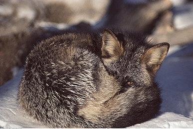 《心灵杀手2》新4K截图 展示北极光引擎能力